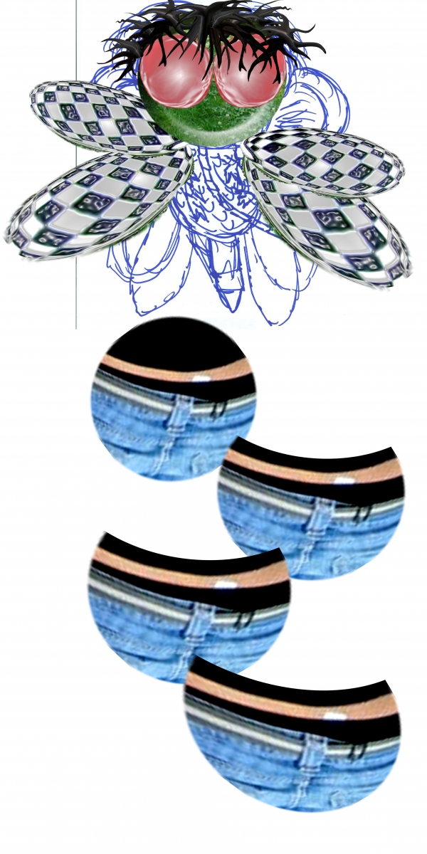 Creation of ZZub: Step 3